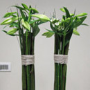 Bloemen vertikaal