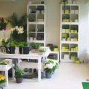 winkel3