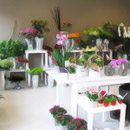 winkel4